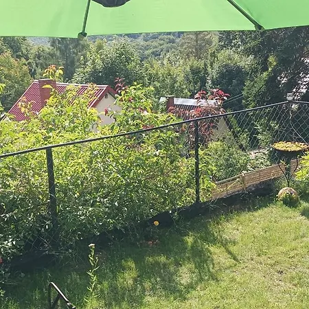 Uevegmuves